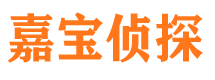 梅里斯市侦探调查公司